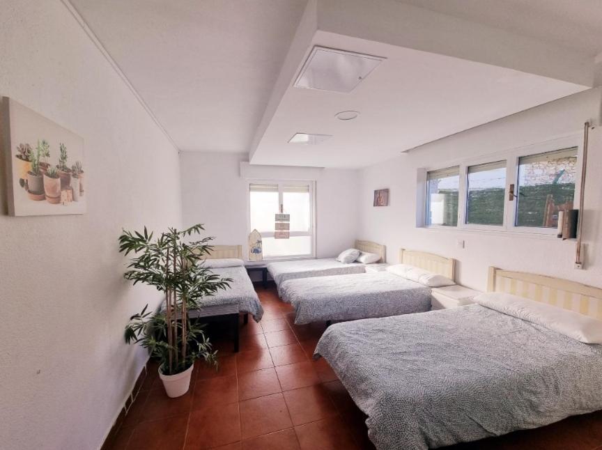 Llanes Surfcamp & Hostel Kültér fotó